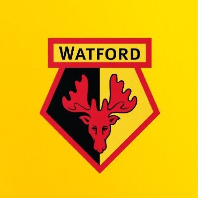 Watford FC   whatsapp Channel