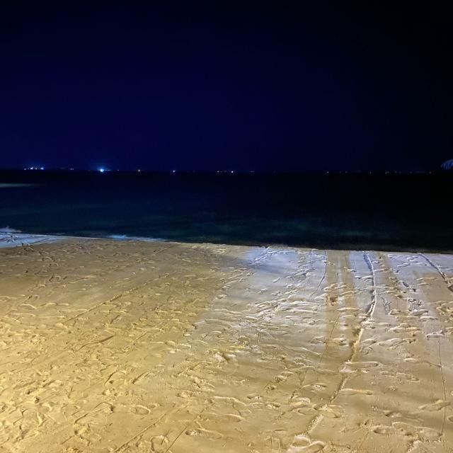 قناة واتساب القاهره / دمياط